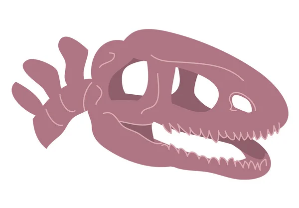 恐龙头骨骨骼 古老的蜥蜴 可怕的食肉动物 有牙齿 古生物学的科学 考古学和化石 在白色背景上孤立的卡通矢量图解 — 图库矢量图片