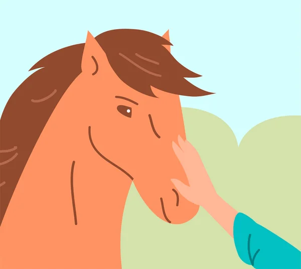 Muž Hladící Koně Koňská Terapie Pro Děti Dospělé Přítel Zvířat — Stockový vektor