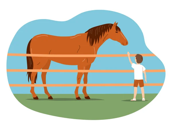 Αγοράκι Και Άλογο Θεραπεία Άλογα Για Παιδιά Ζωώδης Φίλος Ιατρική — Διανυσματικό Αρχείο