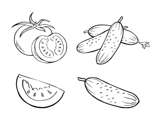 番茄和黄瓜套餐 健康的蔬菜食品 白色背景 矢量孤立地说明黑白 手绘草图纲要 — 图库矢量图片