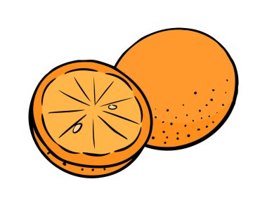 Turuncu tropik turunçgil meyvesi. Sağlıklı yiyecekler. Bahçe ve hasat. Etiket için tasarım. Beyaz arkaplanda izole edilmiş vektör düz çizim. El çizimi ana hatları