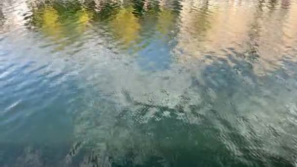自然の中の川や湖の水面 反射による水液の質 バックグラウンドビデオのための野生生物の写真 モーションビデオ — ストック動画