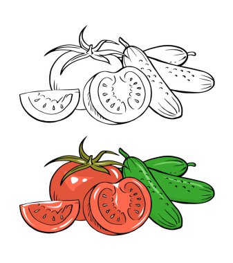 Kırmızı domates ve yeşil salatalık. Sağlıklı sebze yemeği. Beyaz arka plan. İzole edilmiş vektör çizimi. Renk ve siyah çizgi