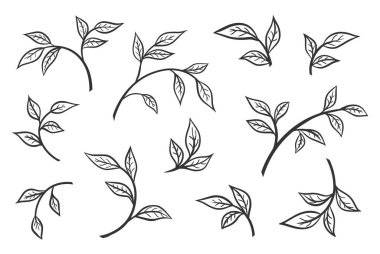 Yapraklı dalı ayarla