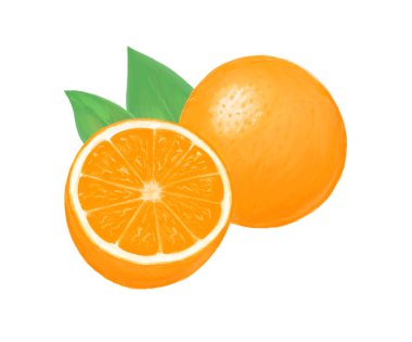 Yapraklı portakal. Tropik turunçgil meyvesi. Sağlıklı yiyecekler. Bahçe ve hasat. Etiket için tasarım. Resimler beyaz arkaplanda izole edildi. El çizimi ana hatları