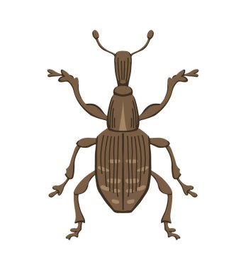 Büyük çam bitleri. Böcek ilacı. Yukarıdan yakın çekim görüntüsü. Tarım sorunu. Vektör illüstrasyonu beyaz arkaplanda izole edildi