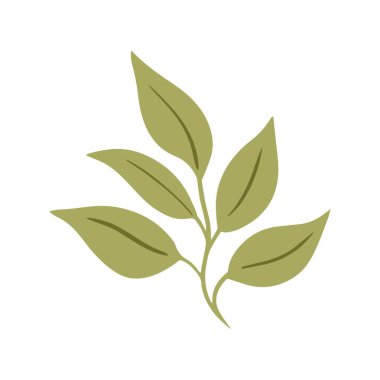 Bir bitki filizi. Ağaç dalında yeşil yapraklar. Doğa ve bitki örtüsü. Tasarım ve dekorasyon için nesne. Düz vektör beyaz arkaplanda izole edilmiş illüstrasyon