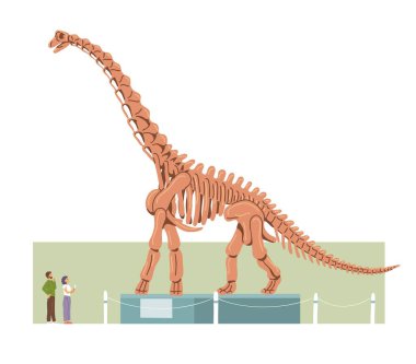 Paleontoloji Müzesi. Brachiosaurus iskeleti. İnsanlar ziyaretçi, turist. Büyük tarih öncesi kertenkele. Jurasik dinozor kemikleri. Düz vektör illüstrasyonu
