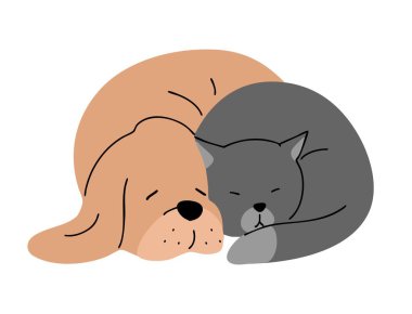 Şirin köpek ve kedi yan yana uyuyor. Evcil hayvan arkadaşlığı. Hayvan karakteri. Çizgi film vektör çizimi beyaz arkaplanda izole edildi
