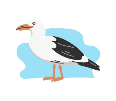 Beyaz arka planda deniz kuşu martısı