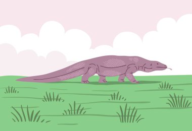 Komodo dragon on the background of nature. Large predatory retile walks on the grass in search of prey. Animals, fauna and wildlife. Vector illustration