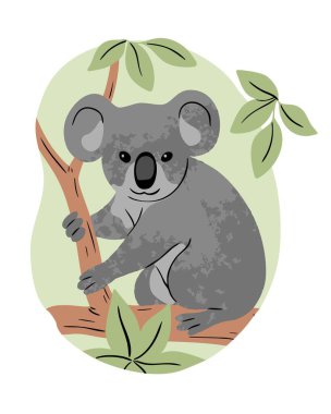 Ağacın üzerinde Avustralya koalası. Keseli vahşi hayvan. Hayvanlar ve vahşi yaşam. Zooloji ve hayvanat bahçesi. Vektör izole illüstrasyonu