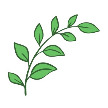 Yeşil rasteria ya da ağaç dalı. Kartların, davetiyelerin ve el ilanlarının tasarımı ve dekorasyonu için dekoratif unsur. Vektör sanat çizimi beyaz arkaplanda izole edildi. Özet biçimi