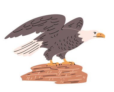 Kel kartal bir kayanın üzerinde oturuyor. Şahin ailesinden büyük bir yırtıcı kuş. Hayvanlar ve vahşi yaşam. Avifauna ve zooloji. Vektör illüstrasyonu beyaz arkaplanda izole edildi