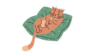 Tembel kızıl kedi yumuşak bir yastığa uzanıp kuyruğunu sallıyor. Evcil hayvan dinleniyor ve uyuyor. Komik hayvan karakteri. Beyaz arkaplanda çizgi film çizimi. Canlandırmalı video görüntüleri