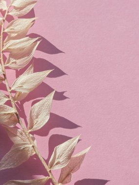 Kuru bitkiler yakın plan pembe arka plan, üst manzara