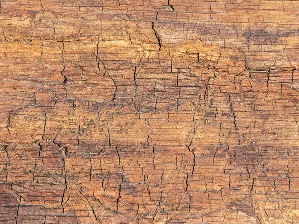 Eski kahverengi ahşap doku