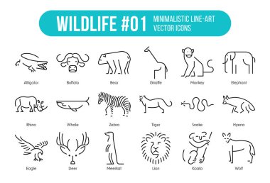 Vahşi Yaşam Simgeleri Seti Minimalist ve basit Çizgi İllüstrasyonları - Koleksiyonda eğitim veya kategorilere uygun 18 hayvan yer alıyor