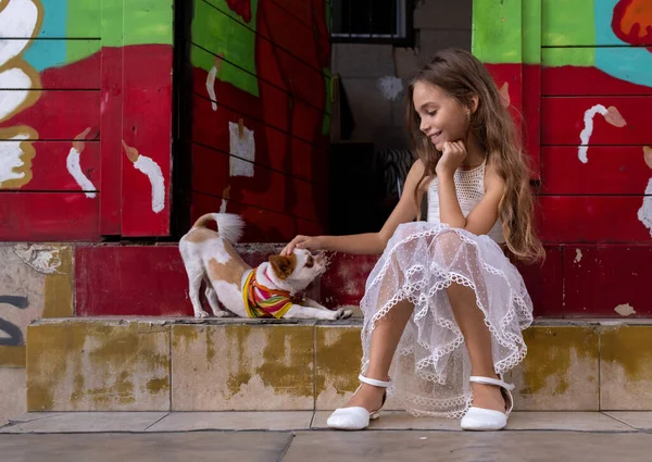 Beautiful Girl Petting Cute Little Puppy Doorstep — Stock Photo, Image