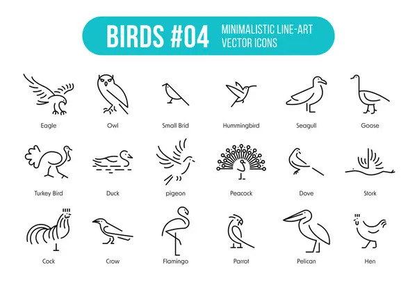 Пташині Значки Вісімнадцятьма Видами Птахів Іменами Модні Векторні Символи Придатні — стоковий вектор