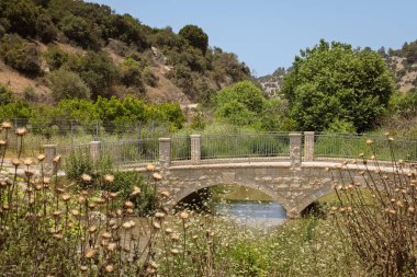 Lush 'taki Manzaralı Taş Köprü. Ein Yabka Springs, İsrail 7.6.2025
