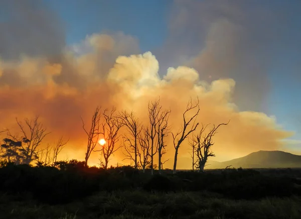 Humo Nubes Causados Por Incendio Forestal Cabo Occidental Sudáfrica —  Fotos de Stock