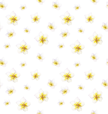 Beyaz arka planda izole edilmiş, canlı gibi görünen tropikal su boyası desenleri var. PNG dosyası