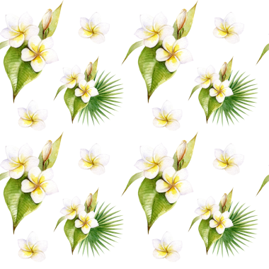 Plumeria çiçeklerinin gerçekçi tropikal resmedilmiş ve beyaz arka planda yaprakları olan suluboya desenleri. PNG dosyası