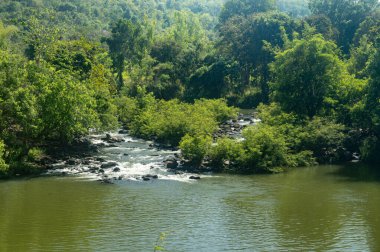 Waterfalls, streams and green trees