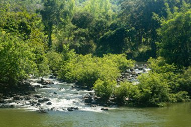 Waterfalls, streams and green trees