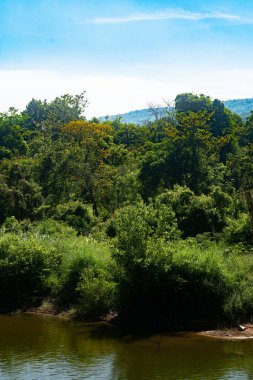 Waterfalls, streams and green trees