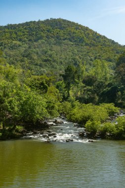 Waterfalls, streams and green trees