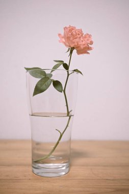 Ahşap masada pembe güller