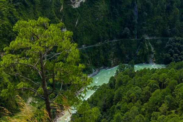 Río Montaña Bosque Bajura Nepal Himalaya — Foto de Stock
