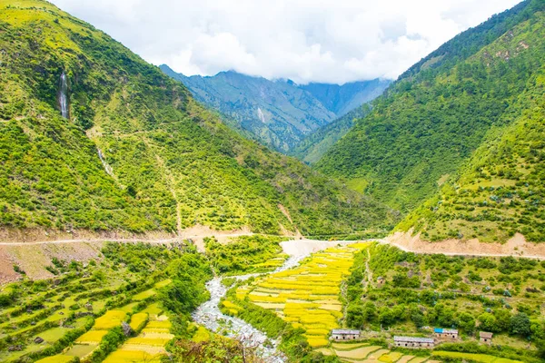 Asia Rice Paddy Fields Himalaya Nepál Green Hill Mountain — Stock fotografie