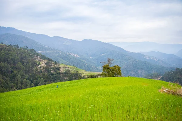 尼泊尔喜马拉雅山Bajura村和稻田 — 图库照片