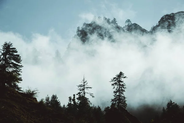 Mugu Nepal Rara国家公园内的Misty Silhouette森林和Rara湖山脉 — 图库照片