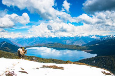 Karlı Dağlı Güzel Göl Himalaya Rara Gölü Ulusal Parkı Mugu Karnali Nepal Yeşil Mavi