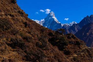 Everest Merkez Kampı ve Amadablam Solukhumbu, Nepal Himalayalarında Trek çekiyorlar.