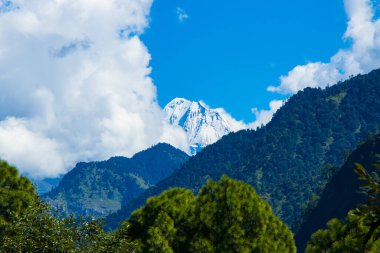 Güzel Dağ Manzarası Dağı. Saipal Sahil Kampı Bajura Nepal 'i Himalaya' da geziniyor.