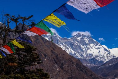 Everest Merkez Kampı ve Amadablam Solukhumbu, Nepal Himalayalarında Trek çekiyorlar.
