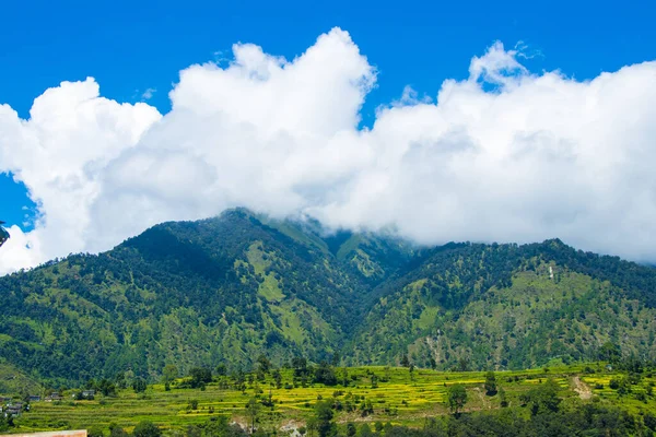 Belle Forêt Verte Rivière Himalaya Népal Pendant Mousson — Photo
