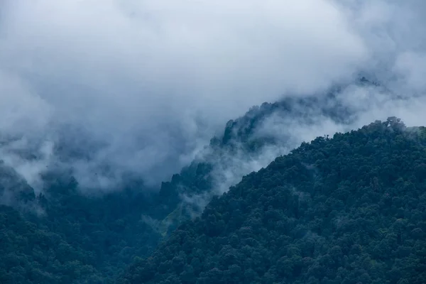 Foggy Och Moody Green Forest Bajhang Bajura Nepal — Stockfoto