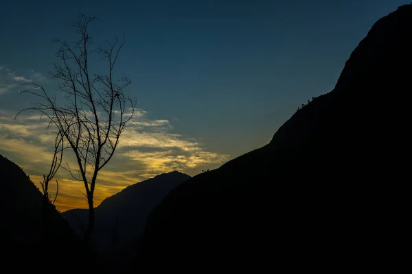 尼泊尔Okhaldhunga Khotang山上美丽的落日轮廓和树木 — 图库照片