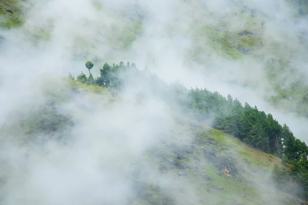 Foggy Och Moody Green Forest Hills Bajhang Bajura Doti Nepal — Stockfoto