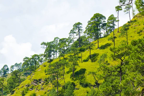 季风期间尼泊尔美丽的绿色森林和喜马拉雅山河 — 图库照片
