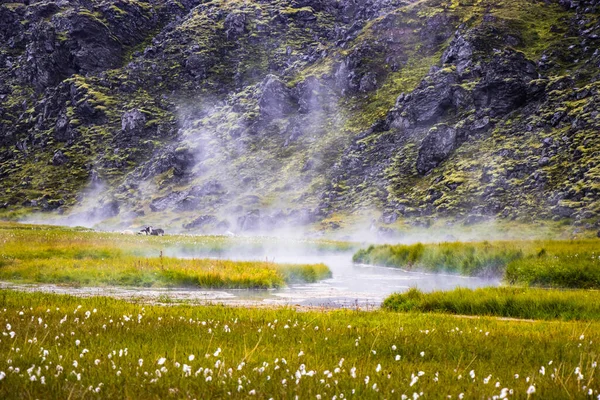 具有绿山的冰岛地热地区高地的土地覆盖物 — 图库照片