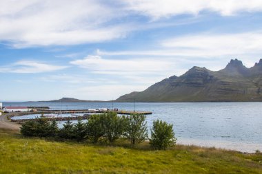 Petra Taş Koleksiyonundaki Güzel Nadir Taş ve Mücevher Koleksiyonu Jasper Stone ve diğer mücevherler