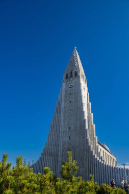 Reykjavik, İzlanda - 23 Ağustos 2022 İzlanda 'nın güzel şehri Reykjavik Hallgrimskirkja Kilisesi, Avrupa caddesi, gökkuşağı yolu, kanal ve müze