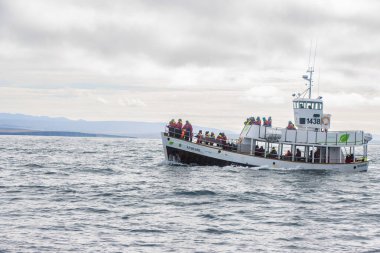 Husavik, İzlanda - 22 Ağustos 2022: Husavik, İzlanda Atlantik Okyanusunu İzleyen Balina